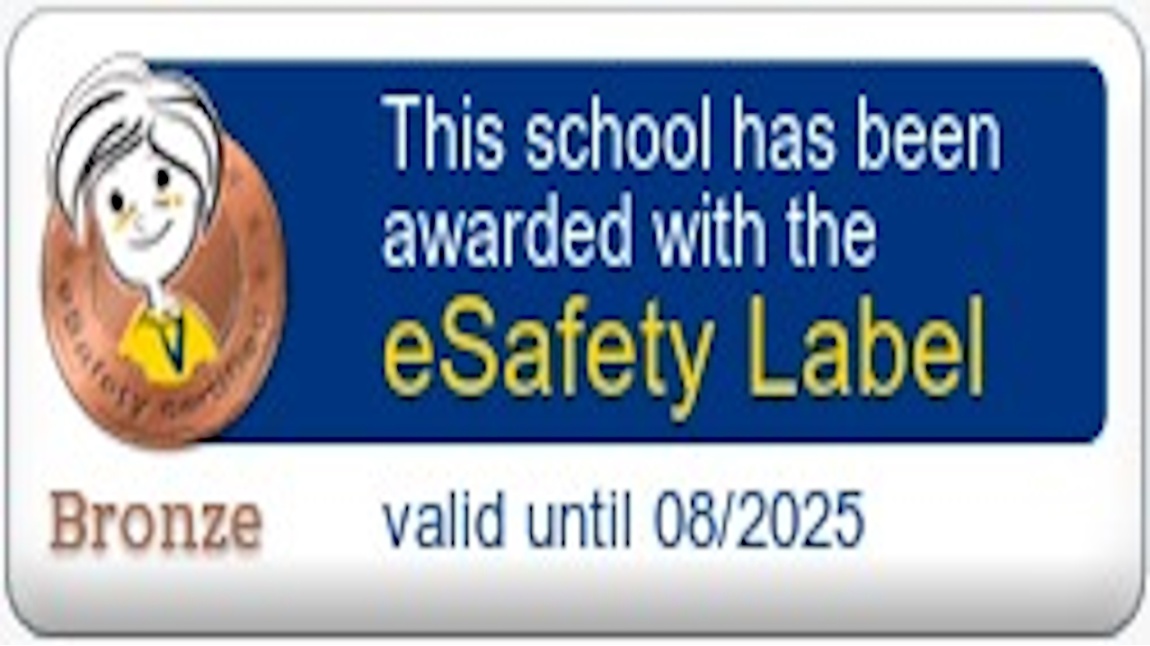E Safety Label Bronz Etiketimizi Aldık